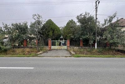 De vanzare vila Cuvin - 7