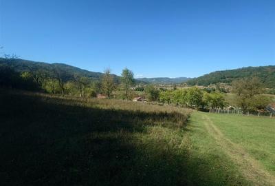 Teren intravilan de 56031 mp, în Crișcior - 5