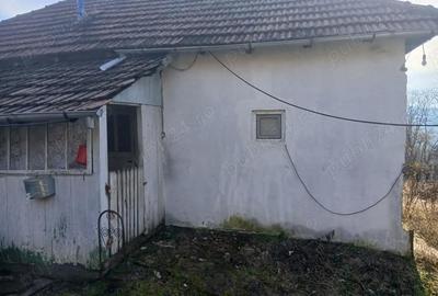 Casă în Blăjani - 6