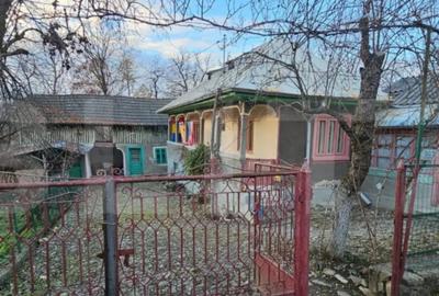 Casă cu 2 camere cu Teren 1110 Mp în Bezdead - 16