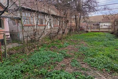 Casă cu 2 camere în Gura Arieșului - 2