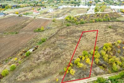 Teren 3000 mp in Snagov zona in dezvoltare, aproape... - 4