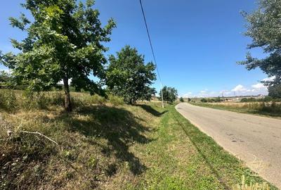 Teren intravilan de 576 mp de vanzare pe drumul DC59 , Haieu - Bihor - 2