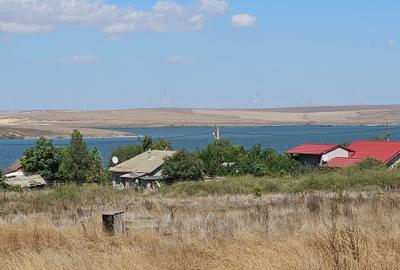 Teren agricol extravilan de 10000 mp, în Sibioara - 11