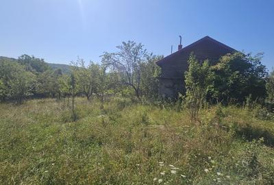 Proprietate cu potential turistic in sat Pietroasa, com. Moldovenesti, jud. Cluj - 4