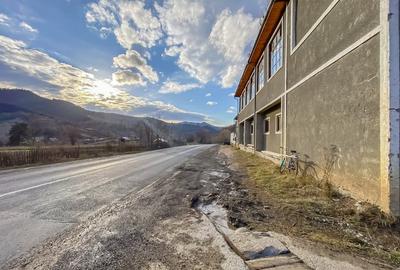 Spațiu industrial, de 1,473 mp, în Tulgheș - 4