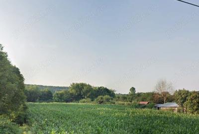 Teren de 5670 mp, în Budișteni - 2