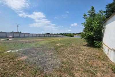 Teren Cu Deschidere La Lac | De inchiriat | Snagov | Utilita - 4