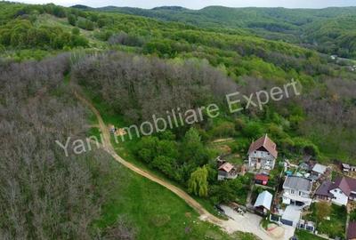 Teren de vanzare in Curtea de Arge?, strada Paune?ti. - 6