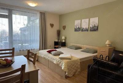 Garsonieră decomandată în Herăstrău