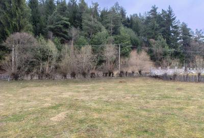 Spațiu comercial, în Brădet - 1