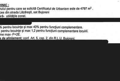 Spațiu comercial, în Bujoreni