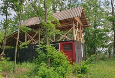 Casă cu 4 camere în Ciomăgești - 2