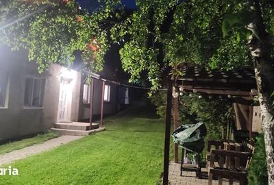 Casă cu 4 camere cu Teren 2600 Mp în Sânpaul - 12