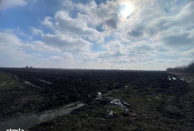 Teren de 9103 mp, în Răzvad