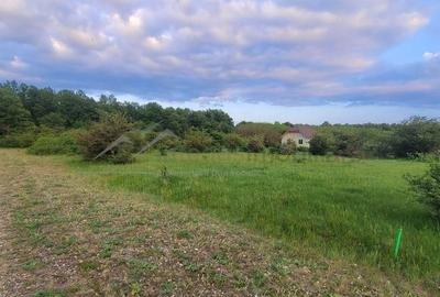 Spațiu comercial, în Gepiu - 1