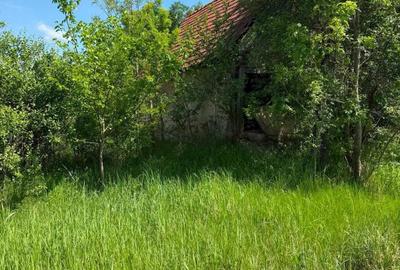 Teren de 5035 mp, în Mânerău - 5