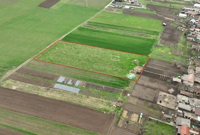 RECO Teren intravilan Girisu de Cris - 2