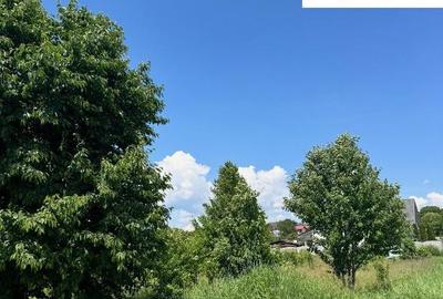 500 mp intravilan Turturesti 13000 Euro - 1