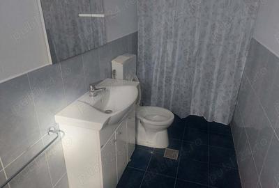 Inchiriez spatiu de birou comercial cu suprafata de 70 mp si curte pavata de 100 mp , zona cu vad - 5