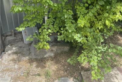 Teren de in zona Prislav Tulcea - 5