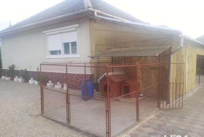 Casă cu 3 camere în Dumbrăveni - 5