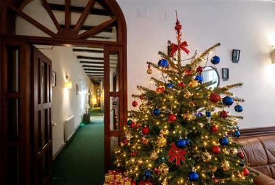 Hotel/Pensiune, de 120 mp, în Centrul Istoric - 11