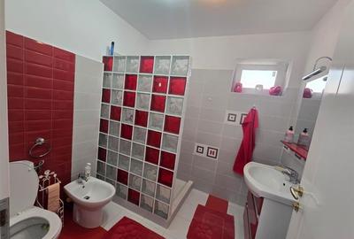 Inchiriere Vila De Lux in Tara Fagarasului Inchiriere Vila De Lux in Tara Fagarasului - 16