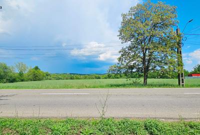 Proprietate com.Bodesti, casa+ anexe + teren 7481 mp - 13