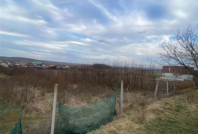 Teren Construcții intravilan de 8000 mp, în Biharia - 7