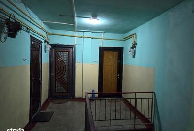 Apartament cu 2 camere decomandat, mobilat în Siderurgiștilor - 16