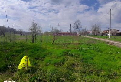 Spațiu comercial, în Buturugeni - 19