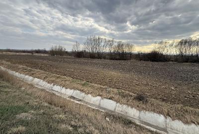 Teren agricol extravilan de 3618 mp, în Periferie - 8