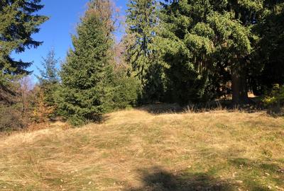 Teren agricol extravilan de 4900 mp, în 13 Decembrie - 7