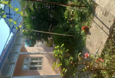 Casa batraneasca de vanzare locuiibila ,teren cu vie ?i livada in suprafa?a de 29000m.p. - 3