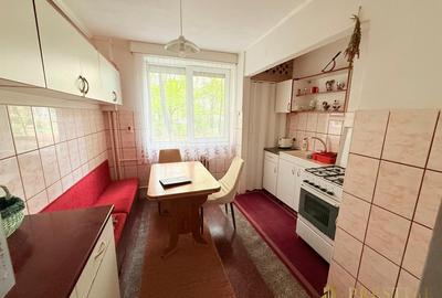 Apartament cu 2 camere semidecomandat, mobilat în Decebal - 5