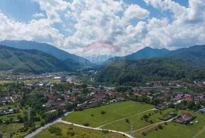 Lot de casa intrare Sacele -Strada Iernii, 509mp