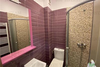 Apartament cu 3 camere decomandat, mobilat în Dobroești - 10