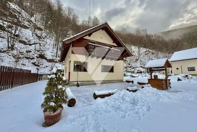 Cabana pe Raul Sadului 120 mp utili Teren 685 mp Zona montana - 1