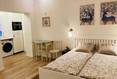 Casa finisata cu 2 apartamente, parcare, central - 6