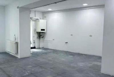 Zona Banu Manta sp Demisol 230 mp utili curte 50 mp - 6