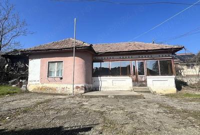 Casă cu 3 camere cu Teren 2173 Mp în Prundeni - 2