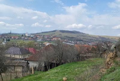 Vand casa taraneasca cu 8000 mp gradina - 3