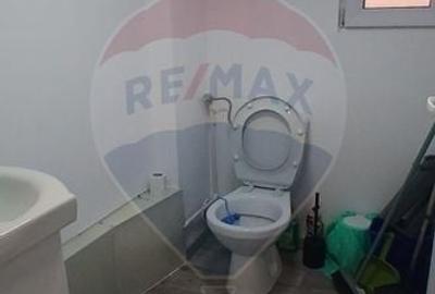 Hala de vanzare in Crevedia 240 mp utili teren 4.000 mp acces TIR - 8