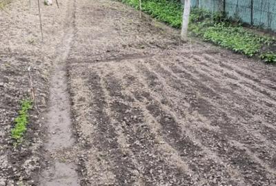 Casă cu 2 camere cu Teren 1628 Mp în Central - 2