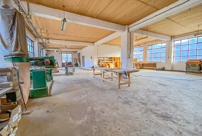 Spațiu industrial, de 1,473 mp, în Tulgheș - 13