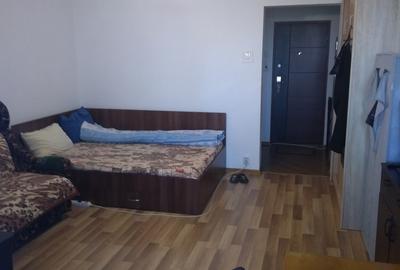 Camil Ressu, Park Lake, Piata Ramnicu Sarat - 3