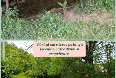 Casă cu 4 camere în Cărpinet - 4