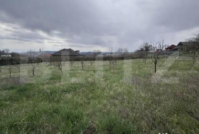 Casă cu 3 camere cu Teren 2900 Mp în Dej - 10