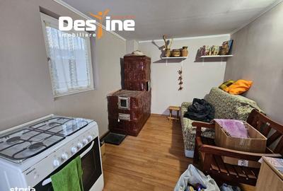 Casă cu 5 camere decomandat cu Teren 7200 Mp în Probota - 5